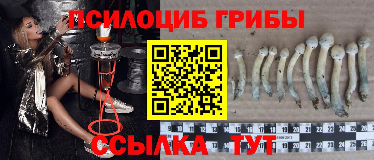 Псилоцибиновые грибы Magic Shrooms Саратов